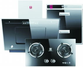 劣质家电产品退市加速 行业洗牌助推家用电器销售升级